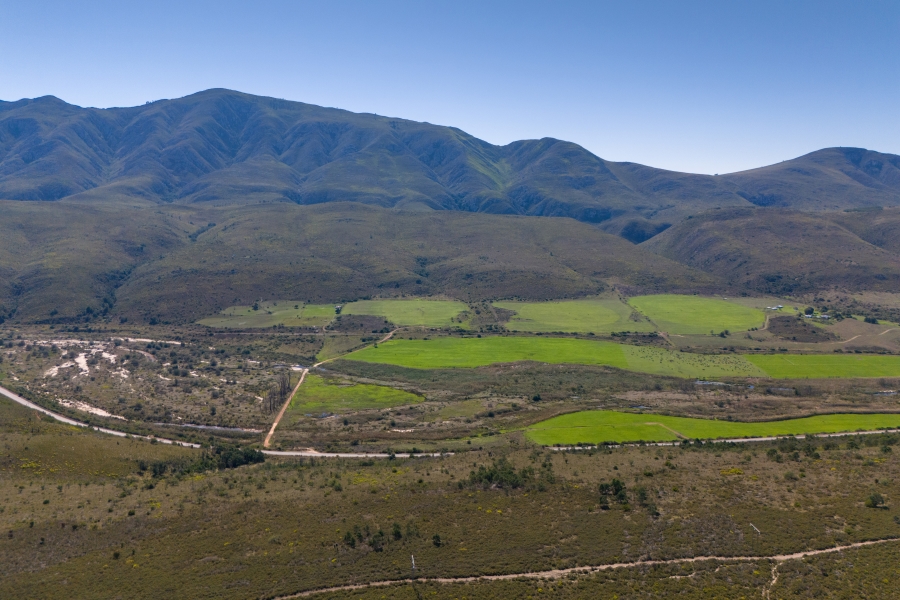 0 Bedroom Property for Sale in Kareedouw Eastern Cape